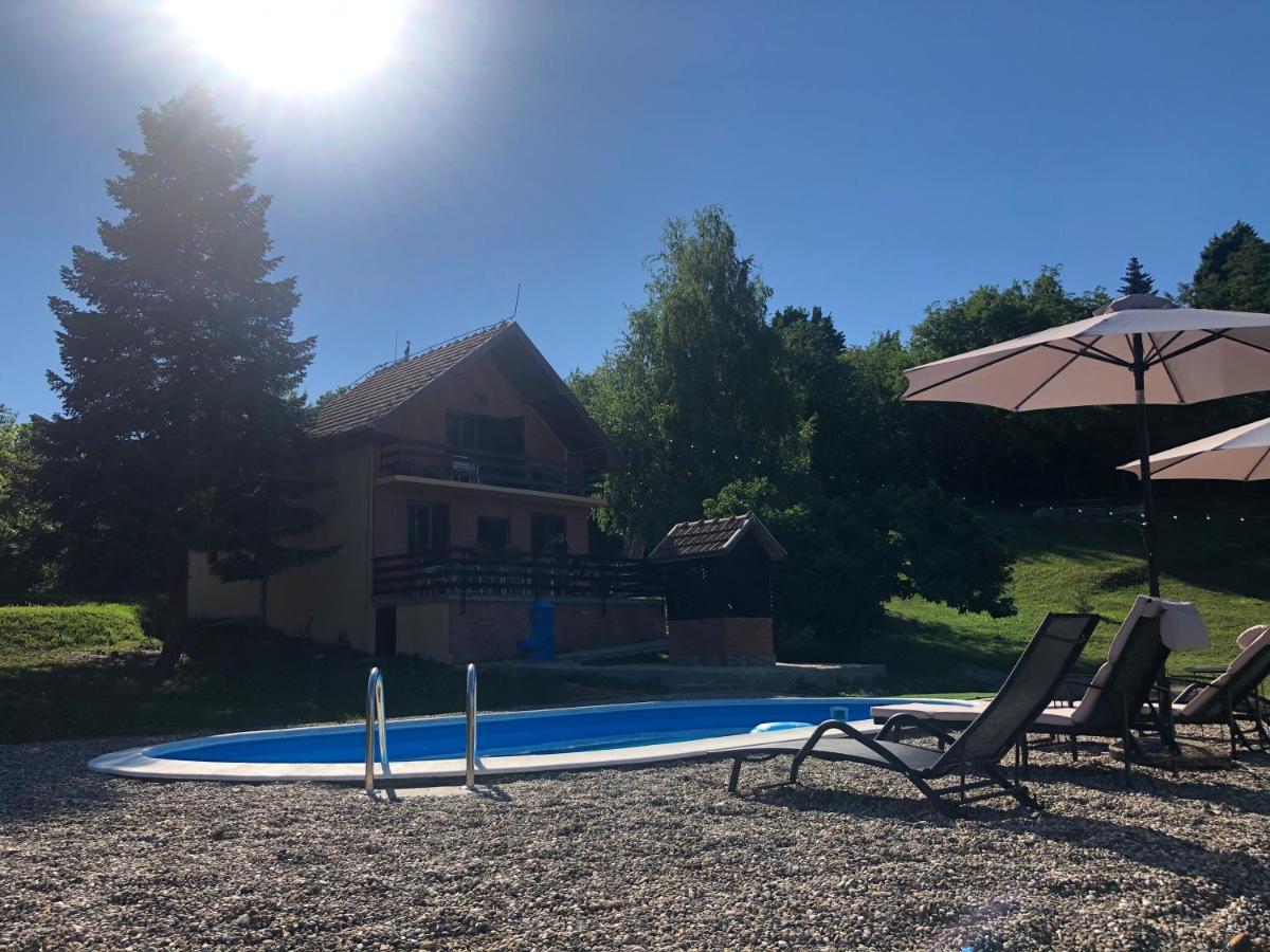 Fruska Pool House Villa Sremska Kamenica Exterior photo