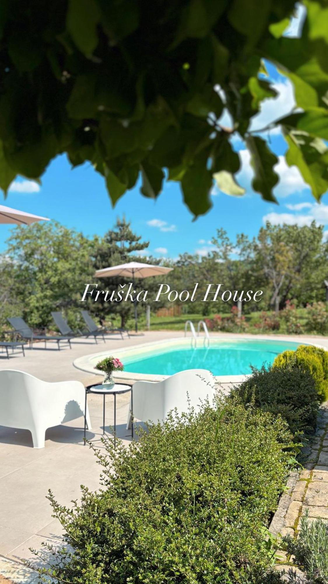 Fruska Pool House Villa Sremska Kamenica Exterior photo